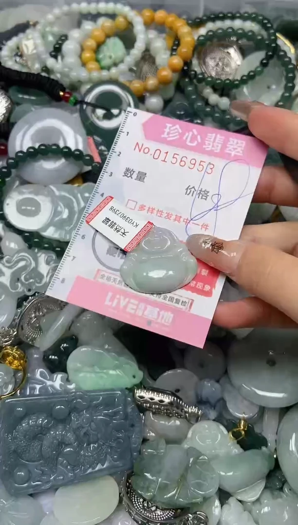 【闪购商品】翡翠颈饰未镶嵌闪购0156953