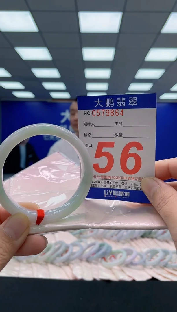 未镶嵌手镯翡翠AAAAAAAAA