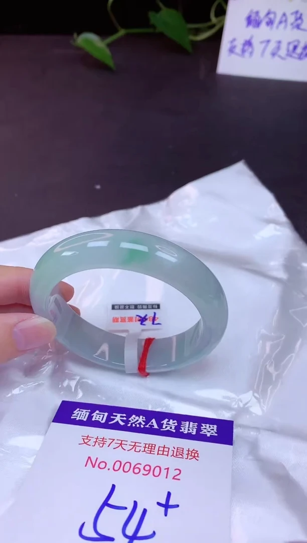 未镶嵌手镯翡翠54（7天无理由退换 ）