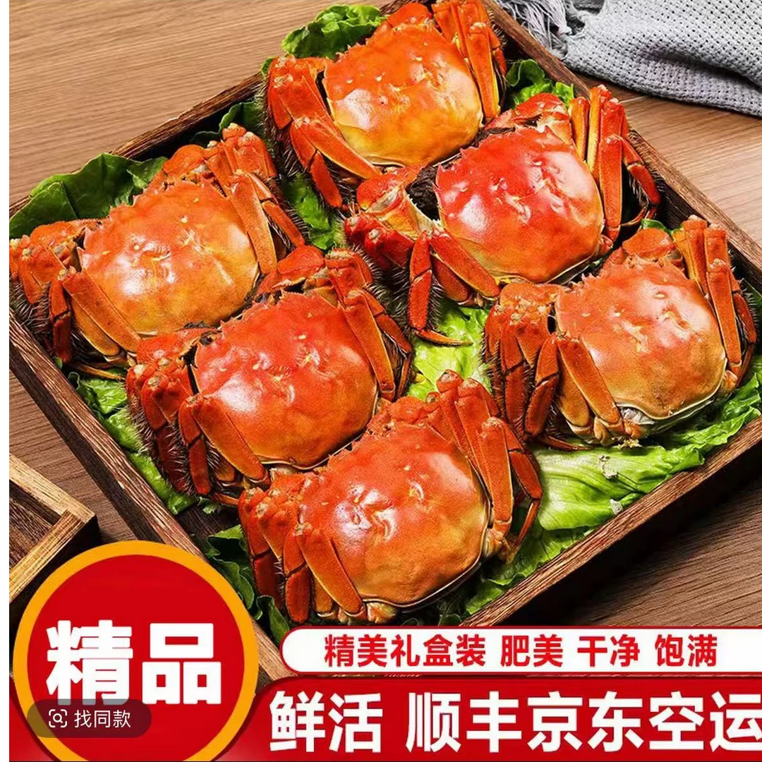 江苏鲜活母河蟹8只-10只3两