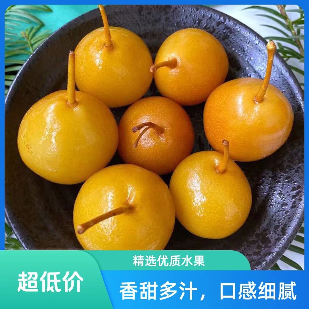 广东潮汕特色水泡梨甜梨鸟梨腌梨新鲜水果加甘草腌制甜脆沙梨酸甜