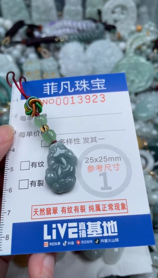 颈饰未镶嵌翡翠13923