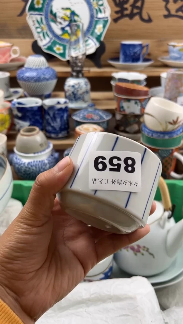 【闪购商品】瓷片瓷器          859