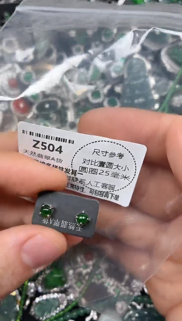 颈饰未镶嵌翡翠Z504耳钉