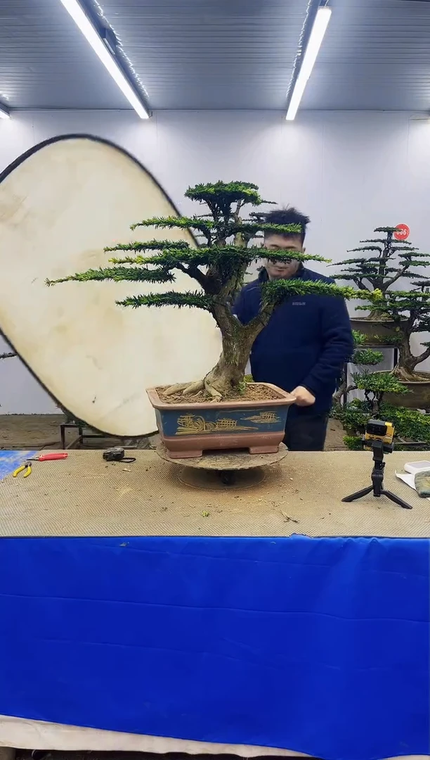 完全开放一物一拍，所见即所得
