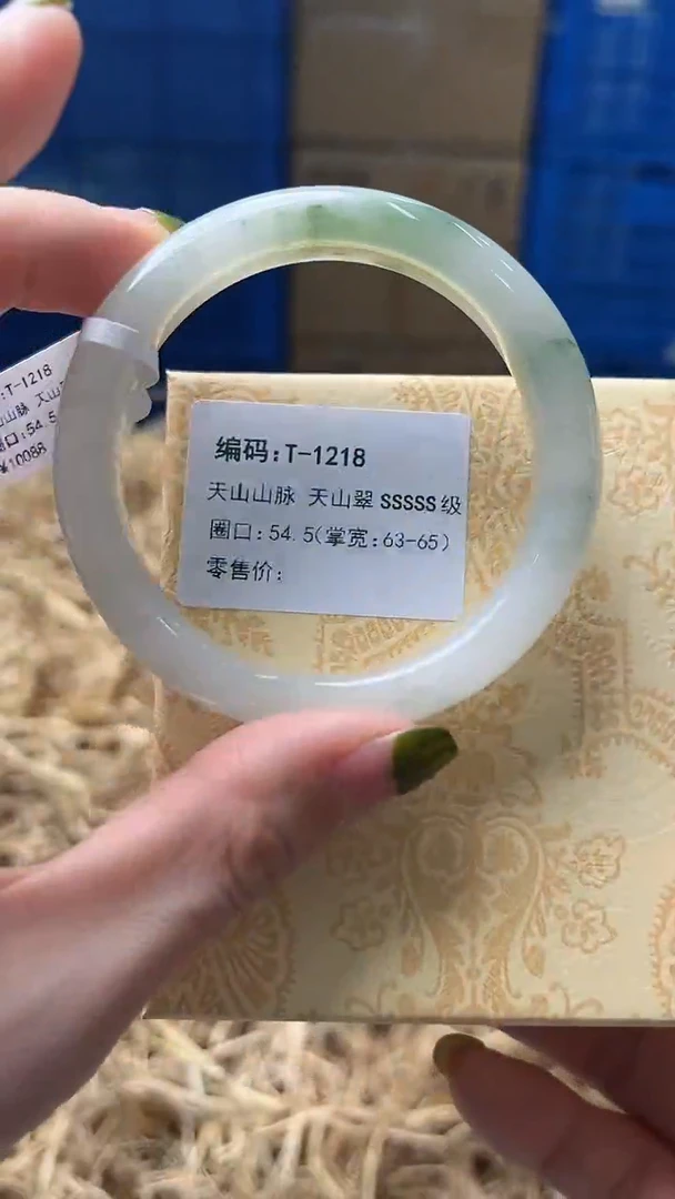 未镶嵌手镯石英质玉T1218