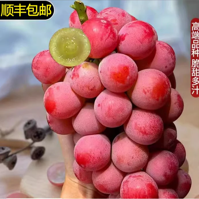 【妮娜皇后】红宝石女王葡萄个大饱满 礼盒装 顺丰包邮葡萄同城送江苏省