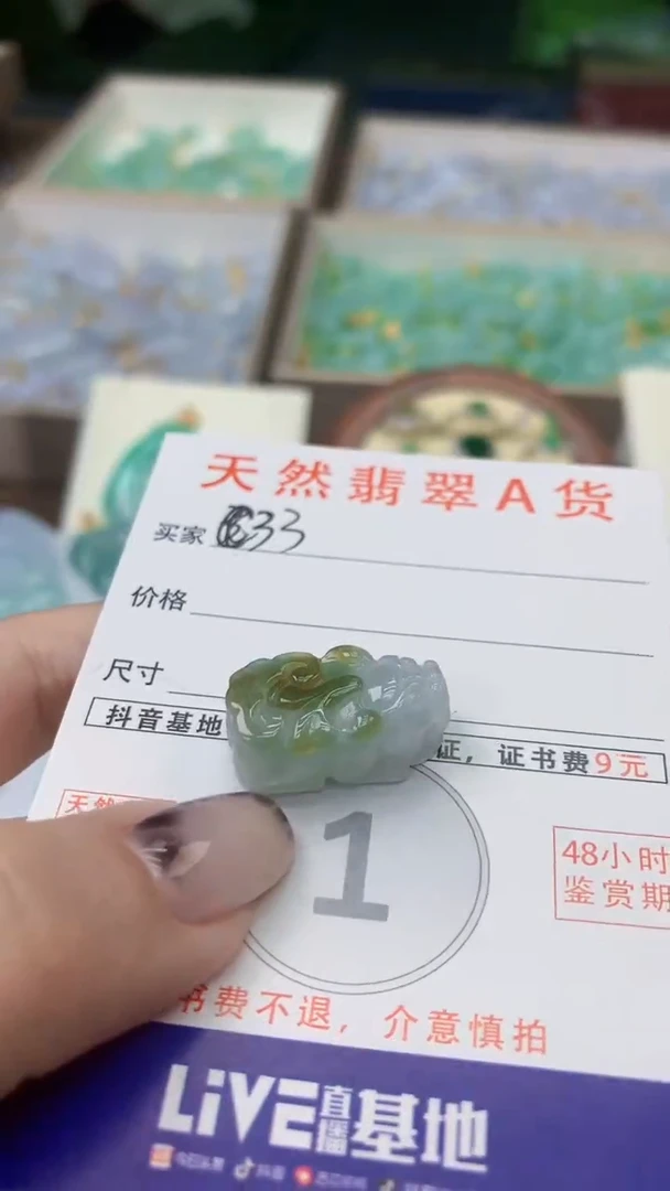 颈饰未镶嵌翡翠天然A货翡翠挂件