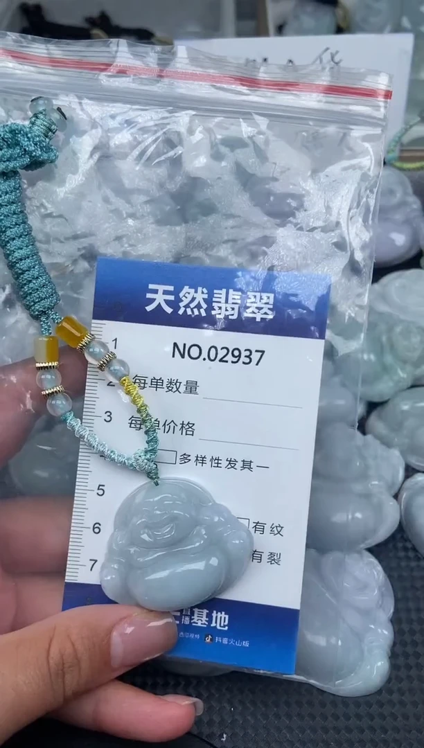 颈饰未镶嵌翡翠纯天然A货翡翠2937
