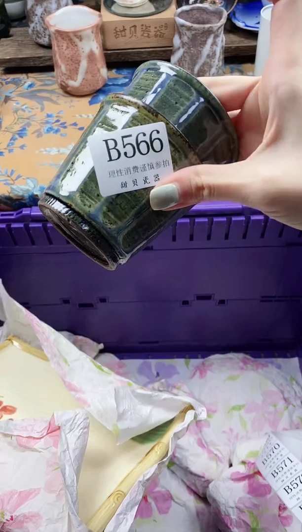 瓷片粒*莉                B566