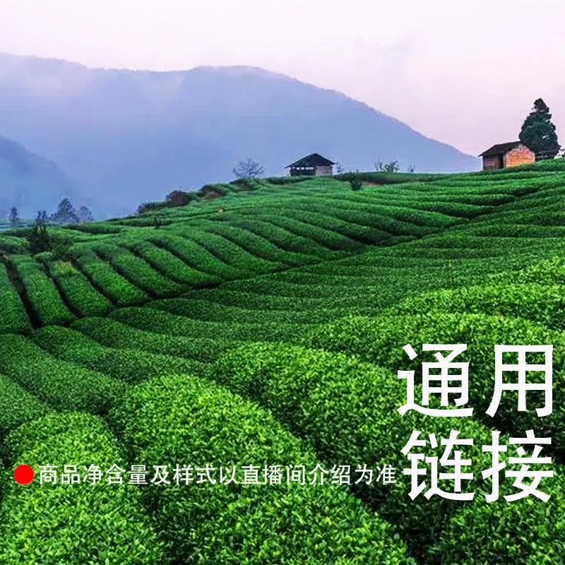 【彤彤推荐】车顺号大金瓜散茶通用链接 普洱茶