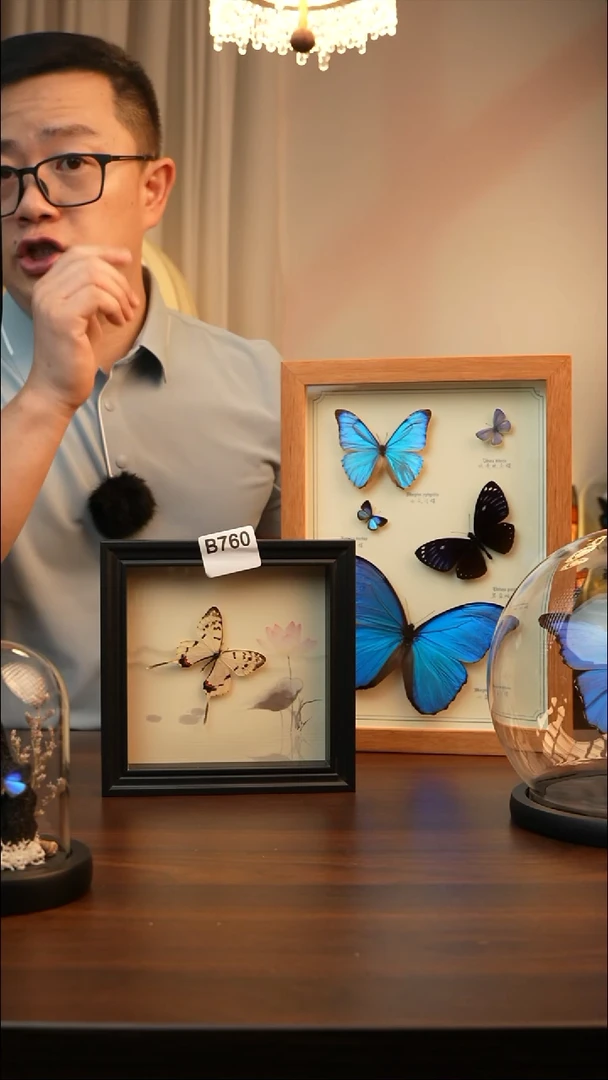 丝带凤蝶（6寸方新款框）B760