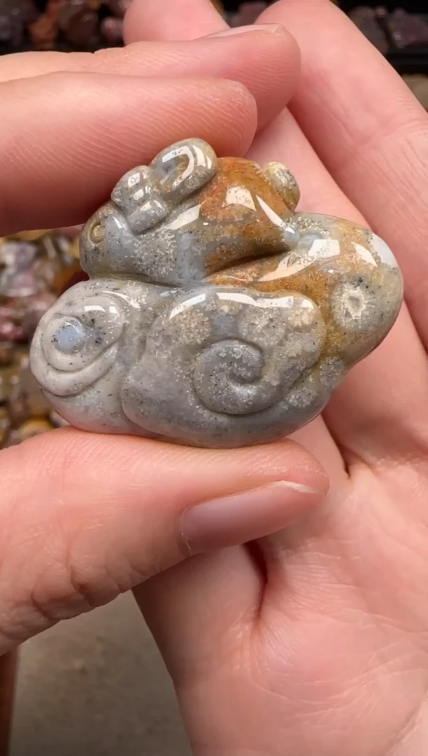 硅化珊瑚（珊瑚玉）未镶嵌颈饰470