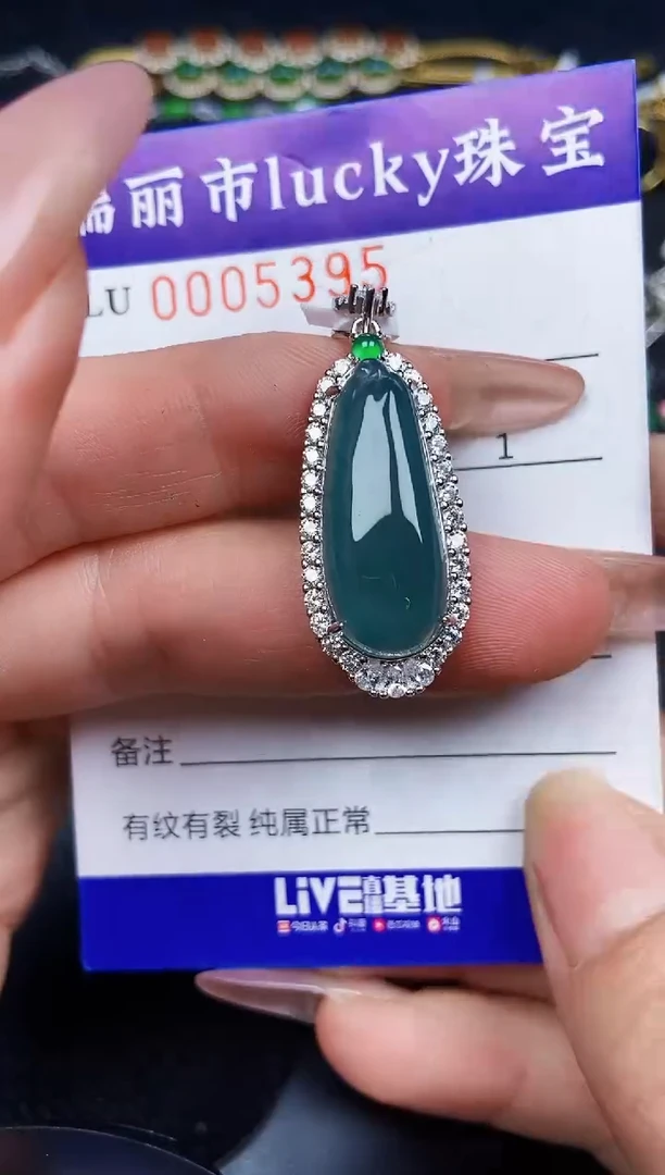 翡翠银S925镶嵌颈饰5395