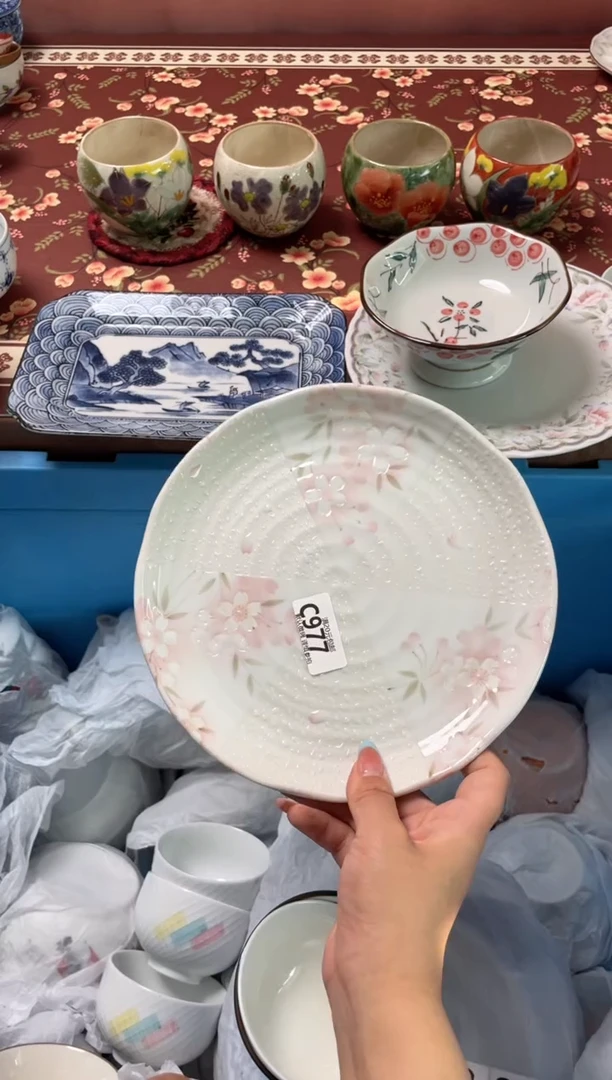 瓷片瓷器瓷器C977