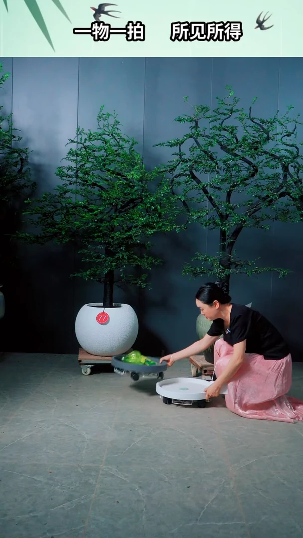 有机玻璃四*广东的小叶紫檀.98.77.号