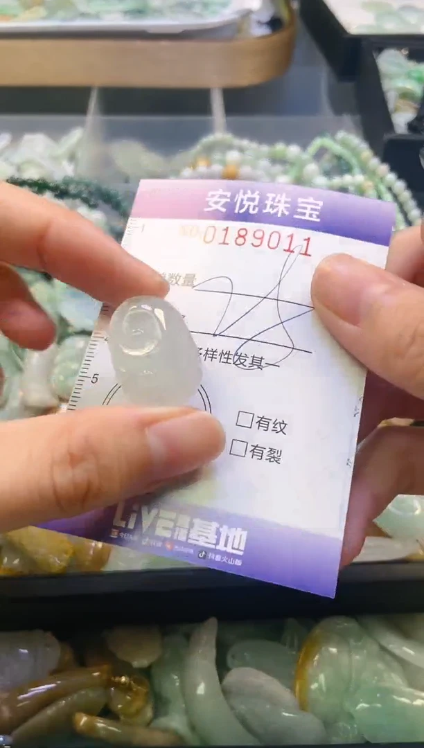 翡翠未镶嵌颈饰闪购0189011