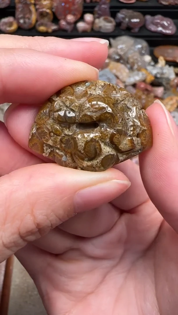 颈饰未镶嵌硅化珊瑚（珊瑚玉）335