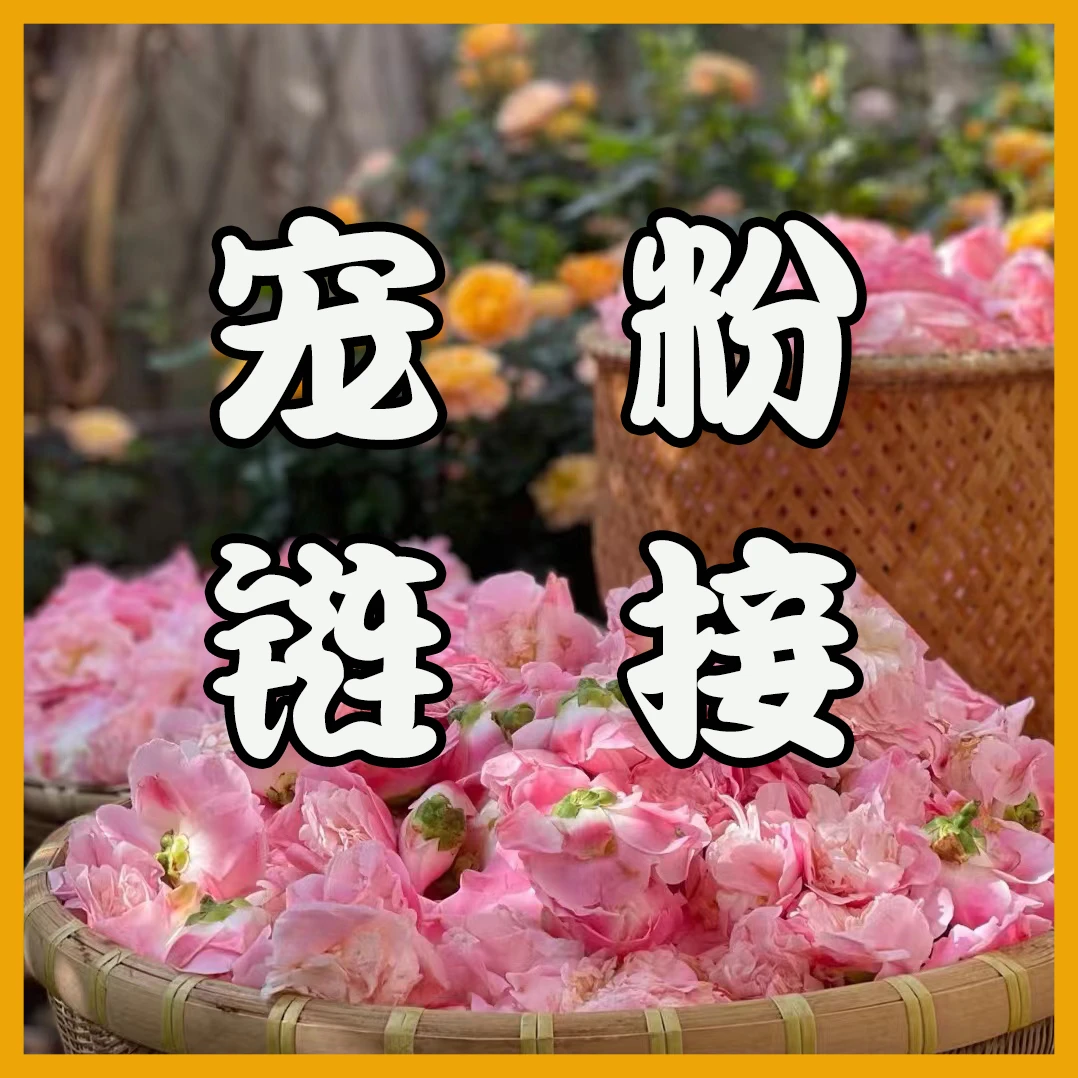 【按摩油】宠粉福利------------------------------洗衣液