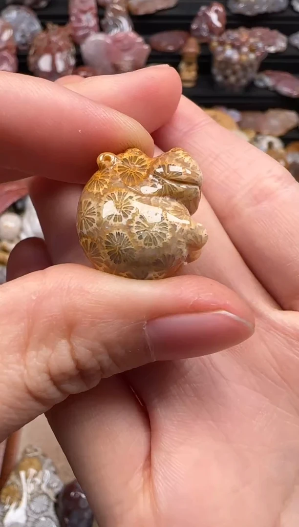 【闪购商品】硅化珊瑚（珊瑚玉）颈饰未镶嵌259