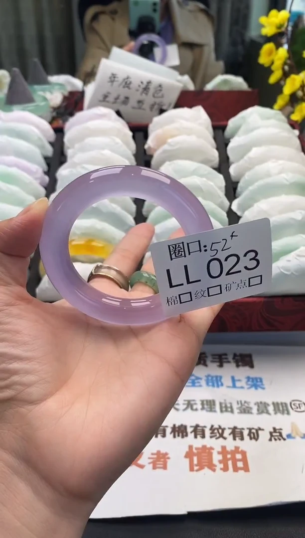 晴****q闪购链接一物一拍以截图为准 LL023