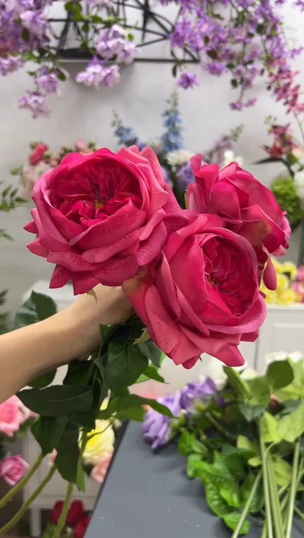 3枝玫红手感保湿朱丽叶