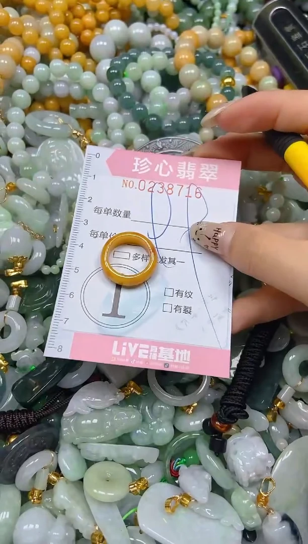 翡翠未镶嵌颈饰闪购0238716