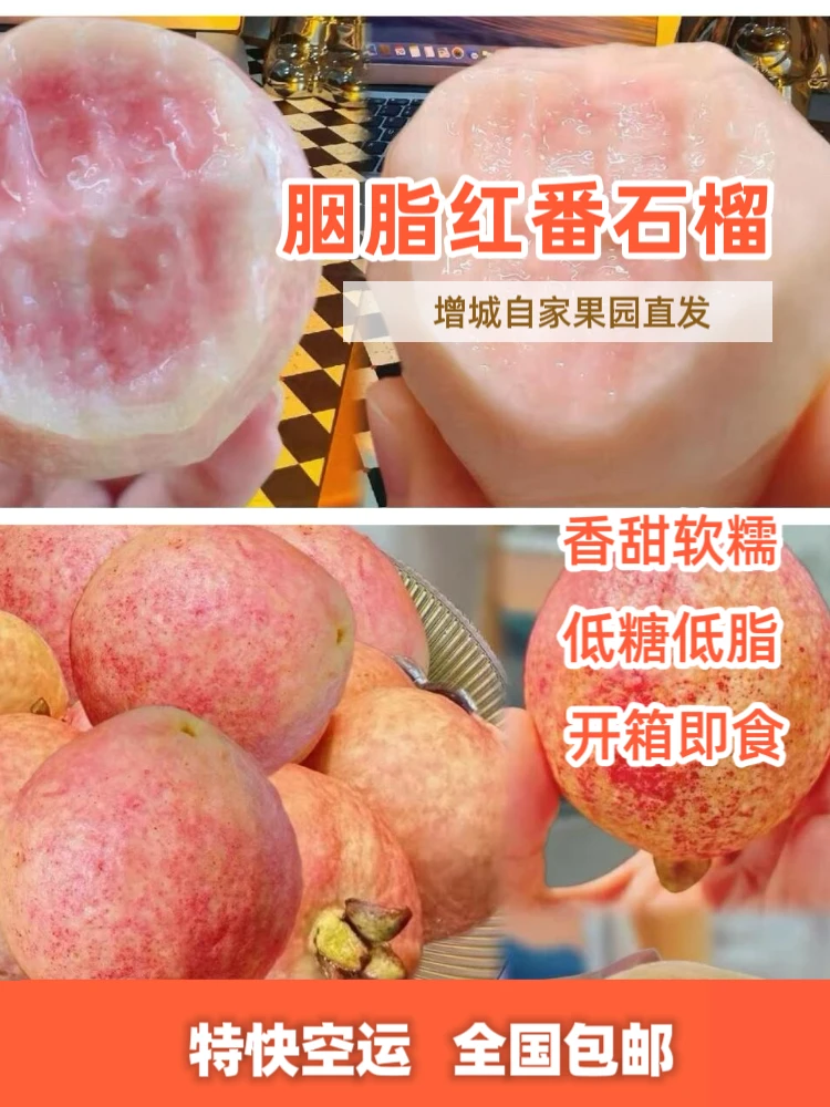 【空运特快】增城胭脂红番石榴芭乐花稔香甜软糯孕妇老人低脂鸡屎果