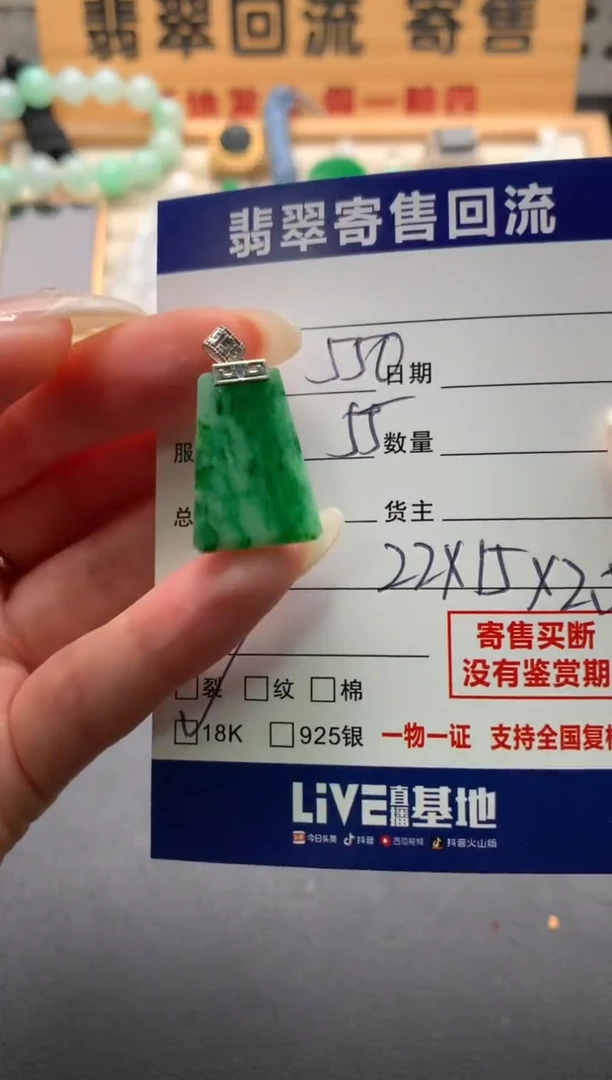 翡翠18K金镶嵌颈饰S**冰10138382