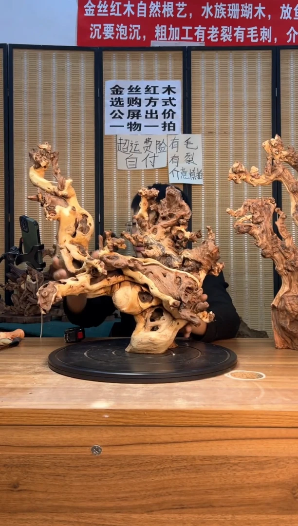 【闪购商品】香榧木云南红河金丝红940