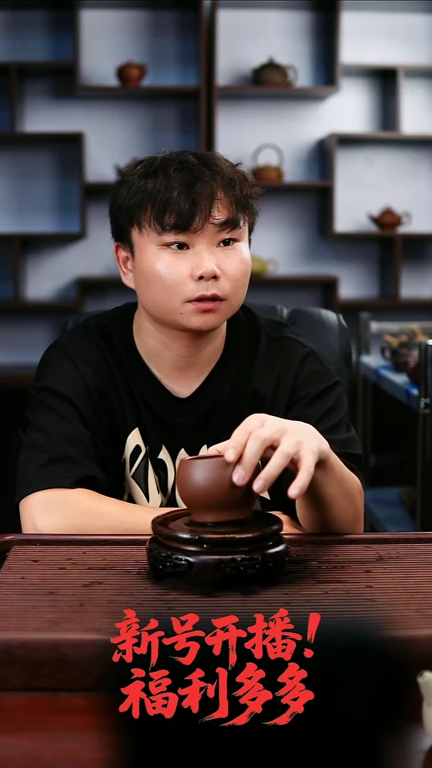 茶壶紫砂16558545