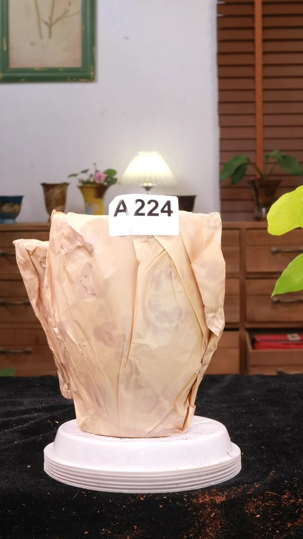 花漾多 A224 景德镇手工盆盆 中通包邮