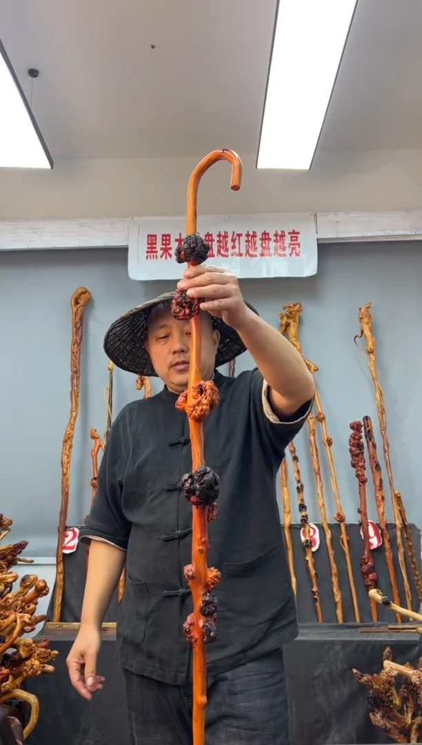 【闪购商品】黑果木其他黑果木711