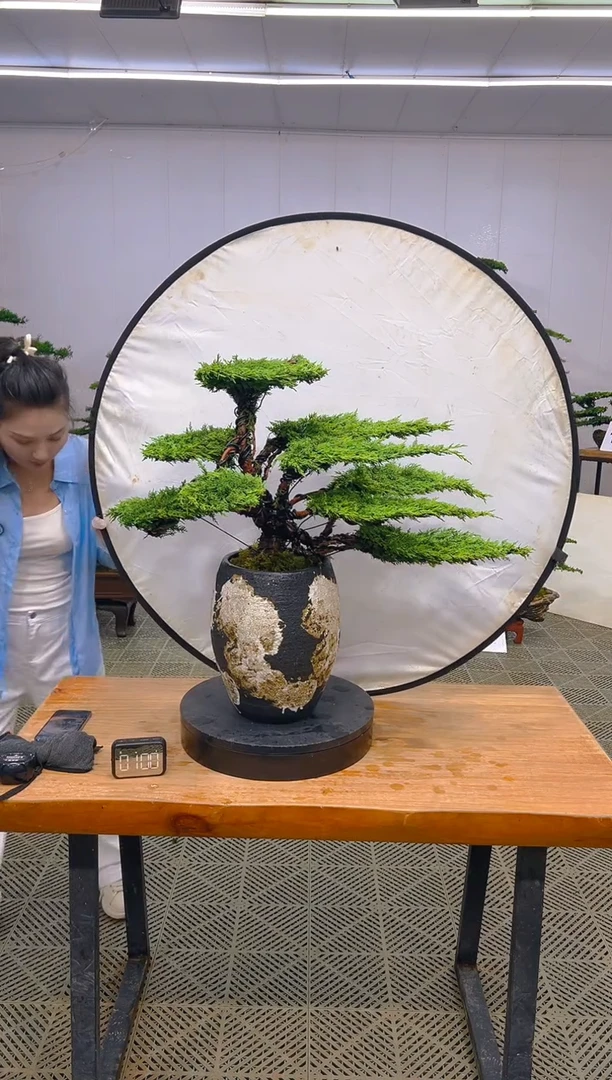 无花朵一物一拍一物一拍