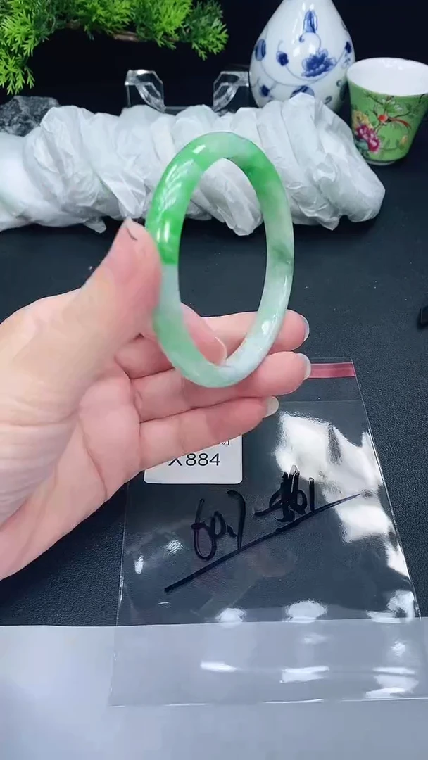 未镶嵌手镯翡翠884