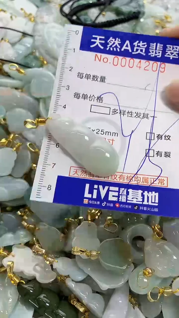 颈饰未镶嵌翡翠天然A货翡翠