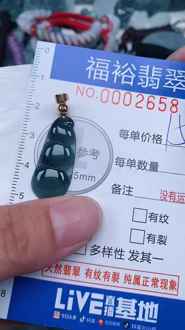 翡翠未镶嵌颈饰...0002658