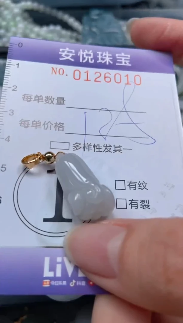 【闪购商品】翡翠颈饰未镶嵌闪购0126010