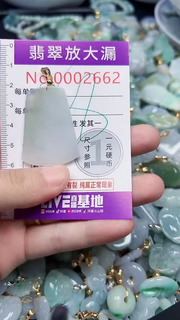 颈饰未镶嵌翡翠2662