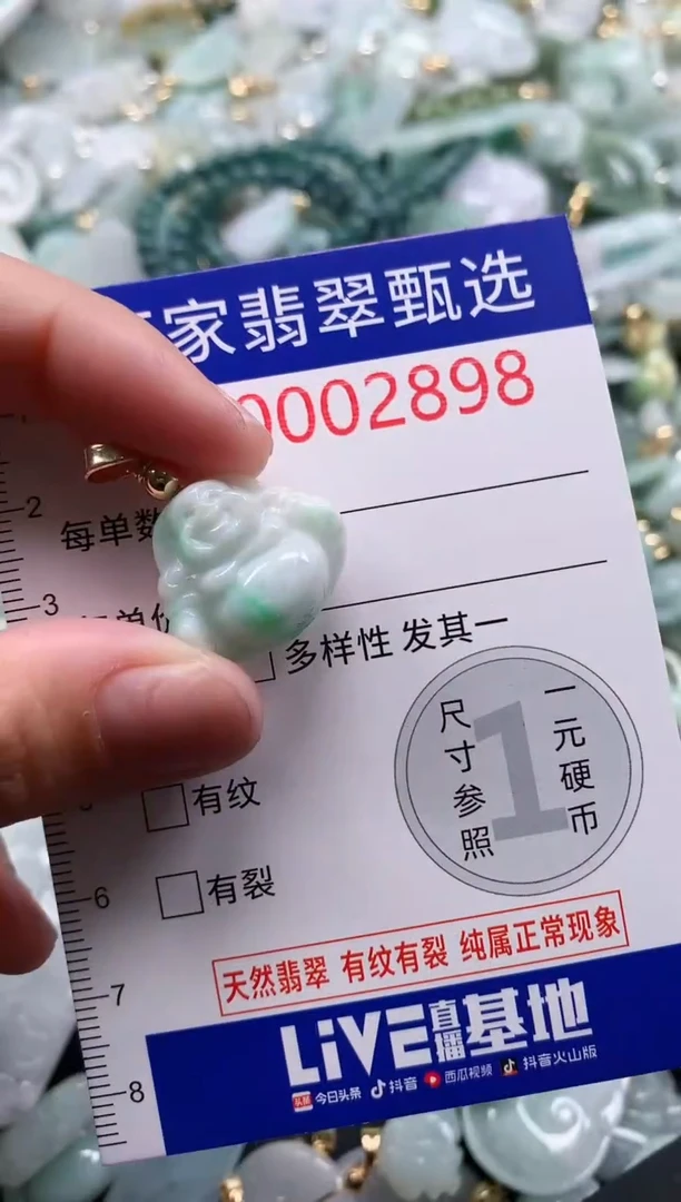翡翠未镶嵌吊坠(不含链)2898