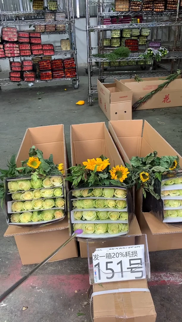 151号♥中通含20%耗损发一箱