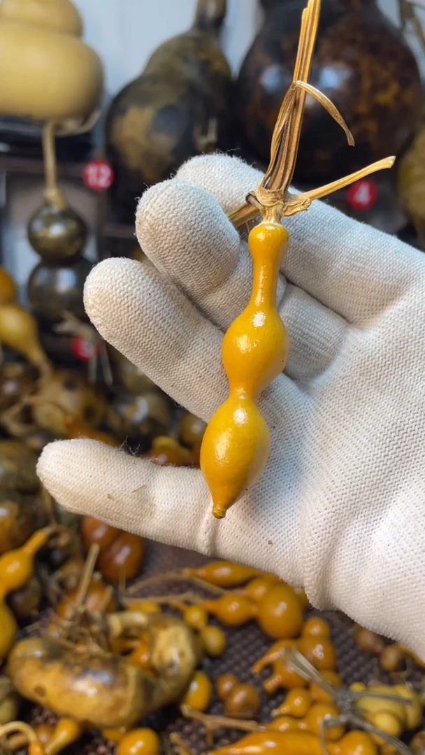 【闪购商品】葫芦葫芦葫芦葫芦