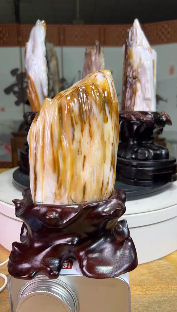 未镶嵌珠宝奇石硅化玉6