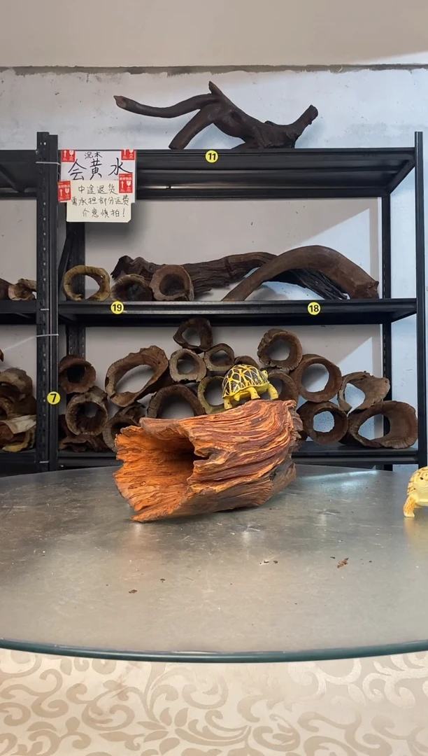 羽鱼缸爬宠造景素材053