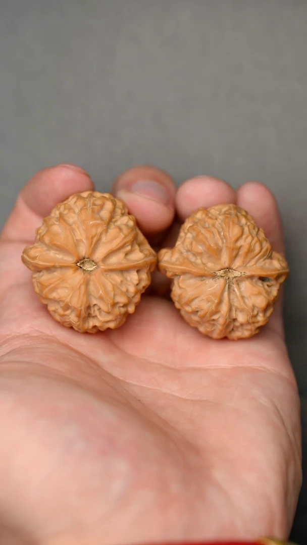 文玩核桃把件全品沈鸡35