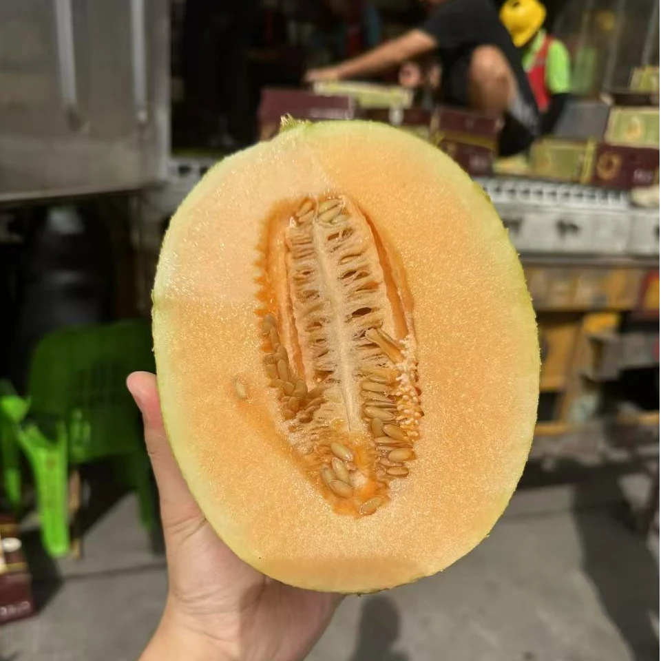 新疆小蜜瓜 5个/箱 约17斤