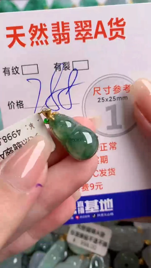 翡翠18K金镶嵌颈饰0061304570