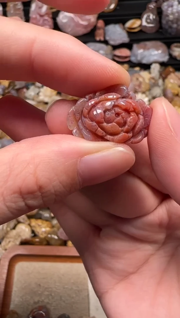 颈饰未镶嵌硅化珊瑚（珊瑚玉）605