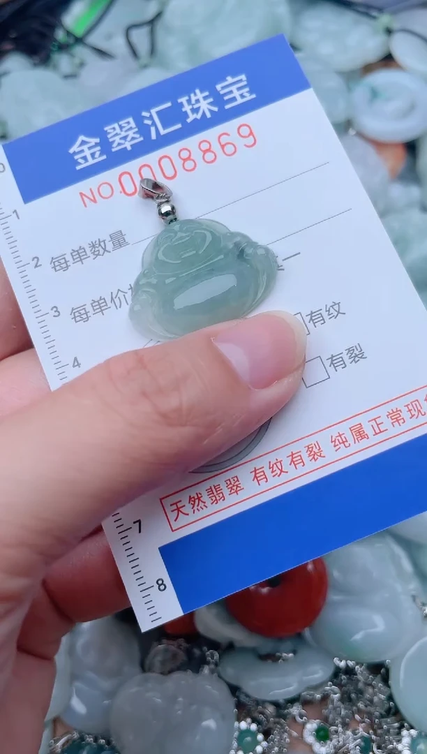 颈饰未镶嵌翡翠8869