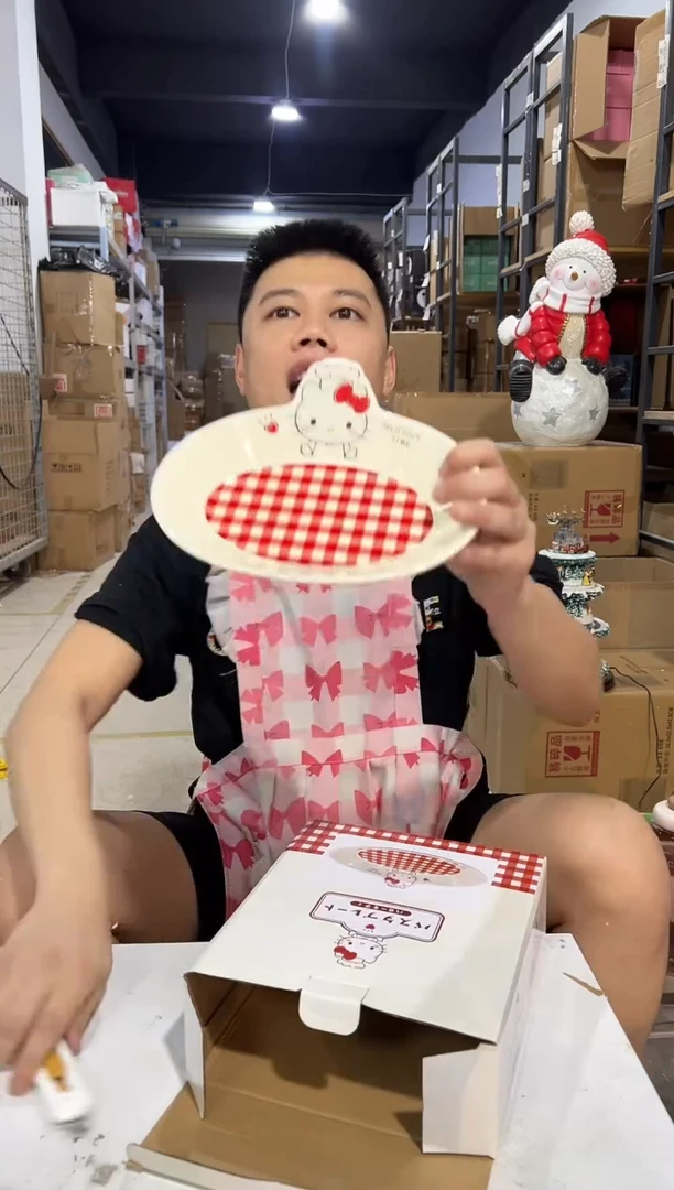 瓷片原盒kt猫红格子餐盘